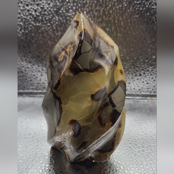 Meet your Posher, Marilee - Picture 7 of 14